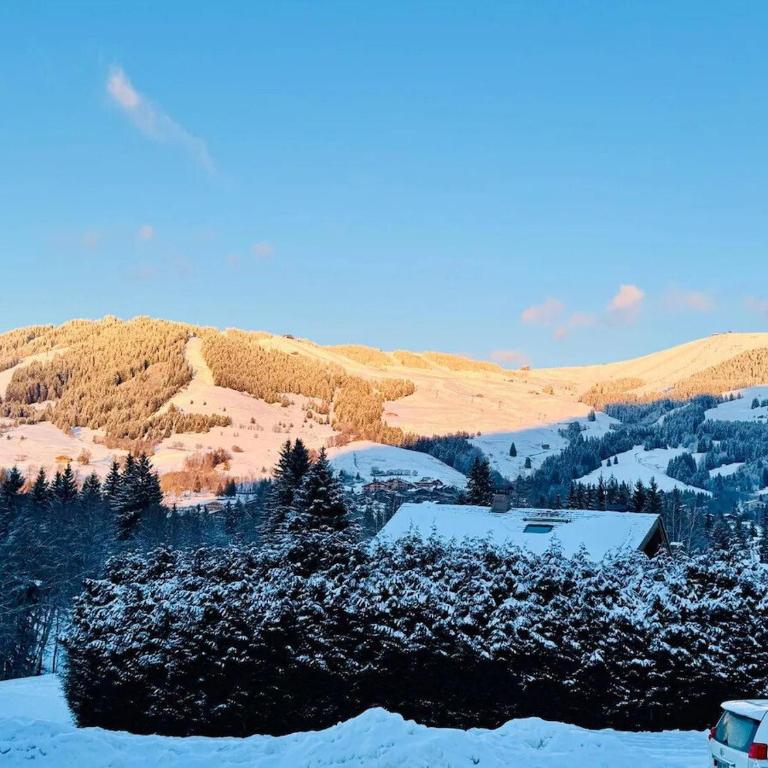 Charming duplex in Hameau des Pistes - ski inout - Apartamento - 1