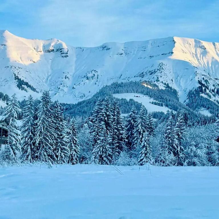 Charming duplex in Hameau des Pistes - ski inout - Apartamento - 5