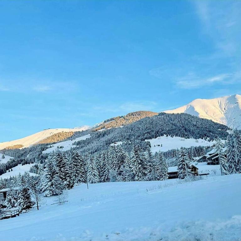 Charming duplex in Hameau des Pistes - ski inout - Apartamento - 7