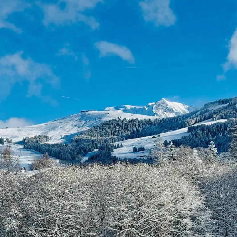 Charming duplex in Hameau des Pistes - ski inout - Apartamento - 13