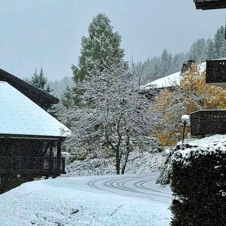 Charming duplex in Hameau des Pistes - ski inout - Apartamento - 40