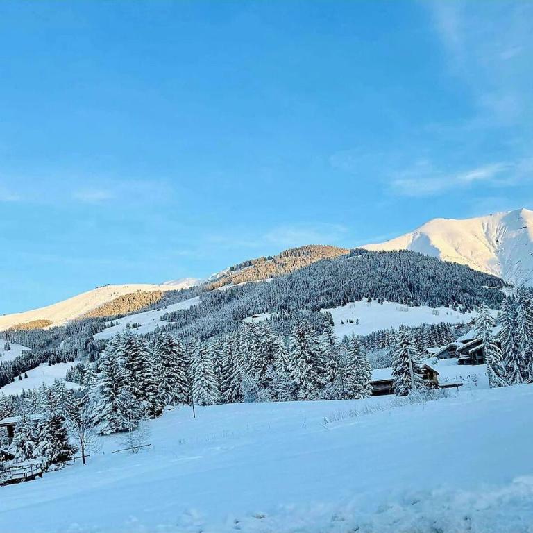 Charming duplex in Hameau des Pistes - ski inout - Apartamento - 41