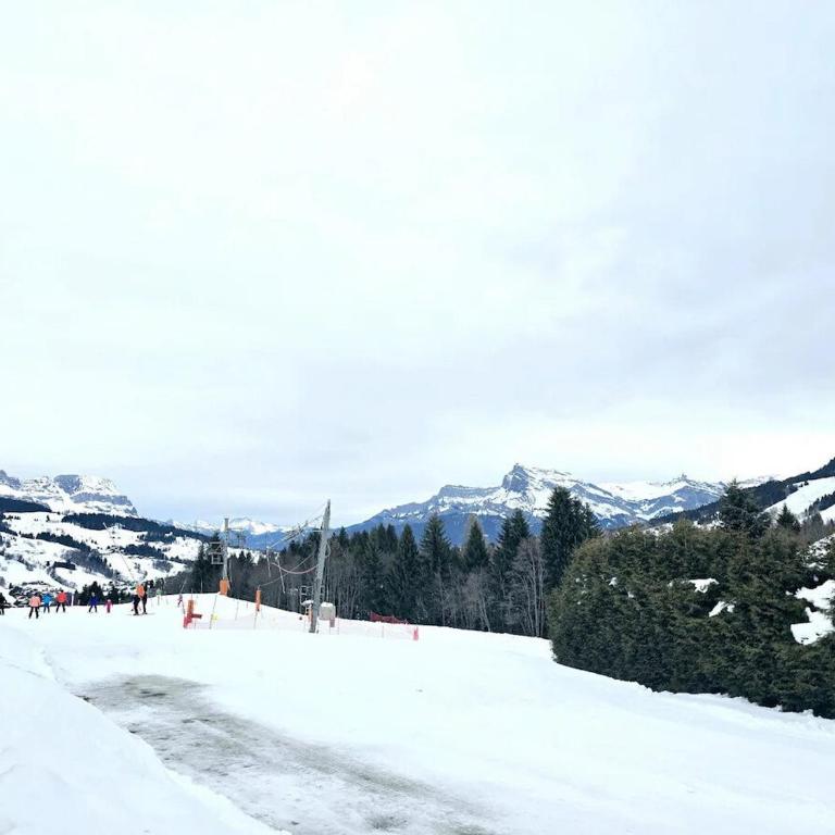 Charming duplex in Hameau des Pistes - ski inout - Apartamento - 42