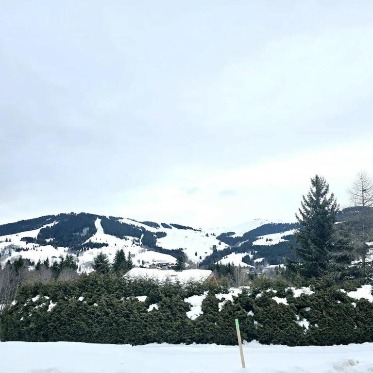Charming duplex in Hameau des Pistes - ski inout - Apartamento - 43
