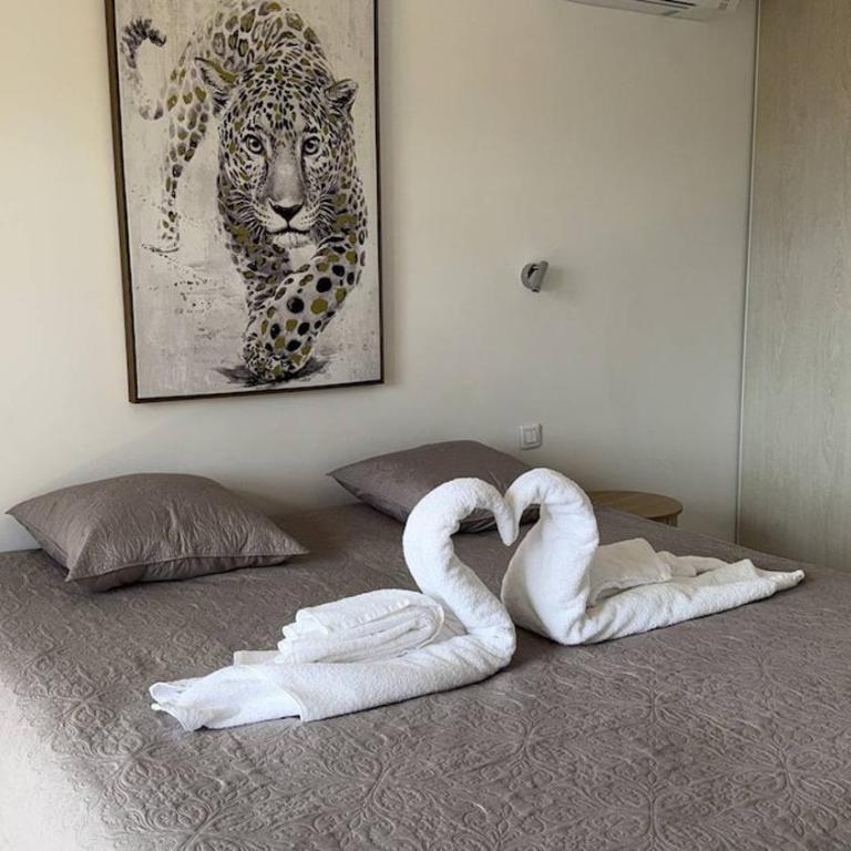 Villa 5P jardin Piscine wifi clim proche village Mouans sartoux et cannes - Casa de 4 dormitorios - 27