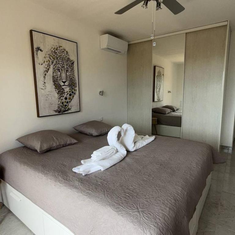 Villa 5P jardin Piscine wifi clim proche village Mouans sartoux et cannes - Casa de 4 dormitorios - 24