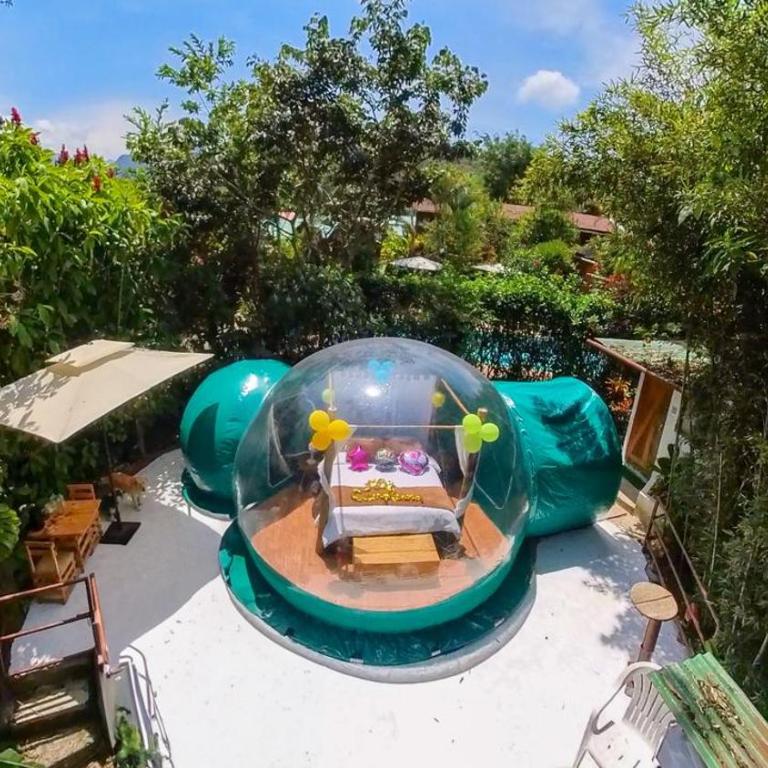 Mindo GlamBird Glamping & Lodge - Tent - 1