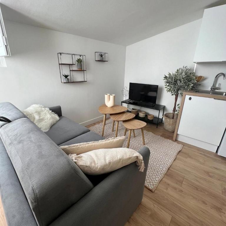 Lembarcadère Toulousain - T1 - Gare- Centre ville - Apartment - 36