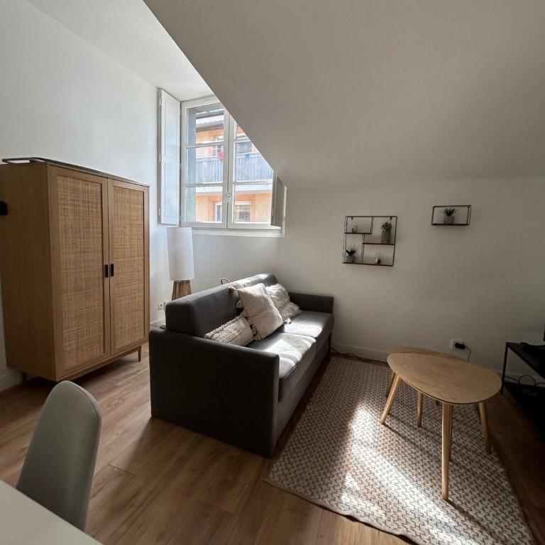 Lembarcadère Toulousain - T1 - Gare- Centre ville - Apartment - 20