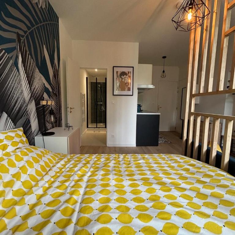 Blue Forest - T1 Hyper centre - Paisible - Appartement - 15