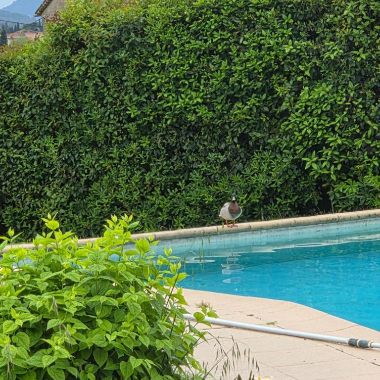 Villa 5P jardin Piscine wifi clim proche village Mouans sartoux et cannes - Casa de 4 dormitorios - 77