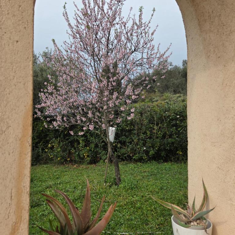 Villa 5P jardin Piscine wifi clim proche village Mouans sartoux et cannes - Casa de 4 dormitorios - 76
