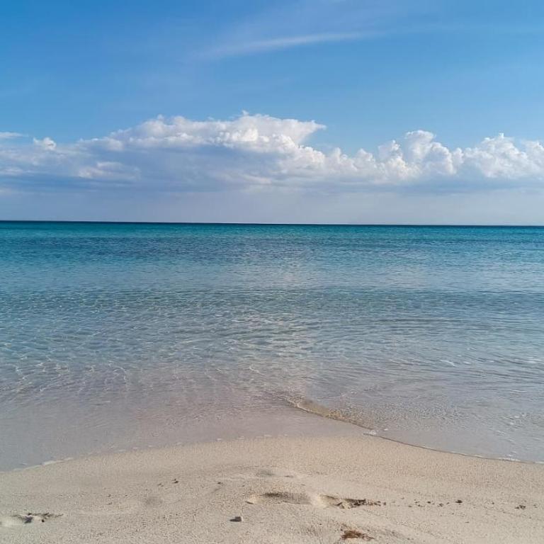 Il Corso Guest house by My Home Apulia - Deluxe Doppelzimmer - 14