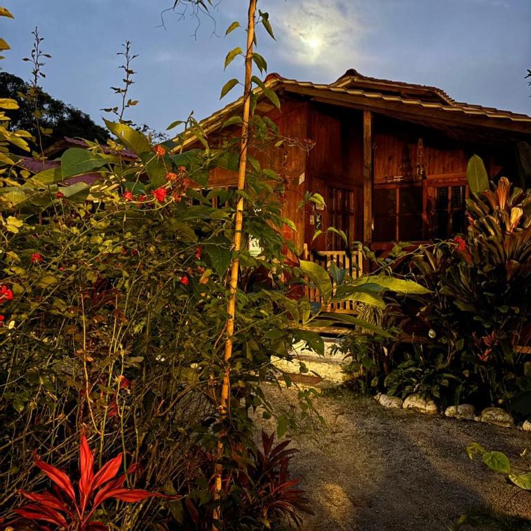 Mindo GlamBird Glamping & Lodge - Villa - 3
