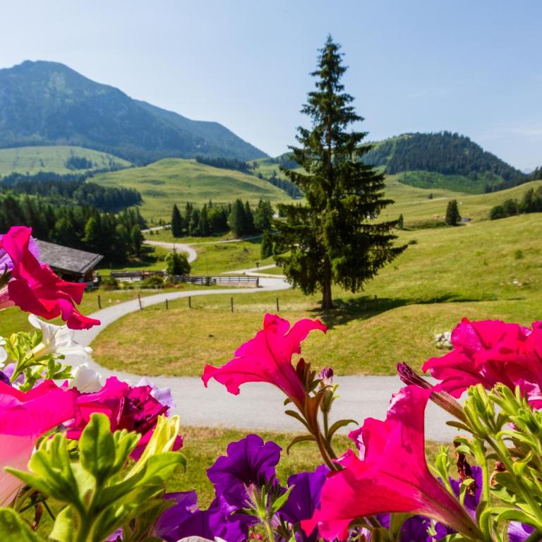 Haus Obweg - Postalm - Apartment mit Blick auf die Berge - 3