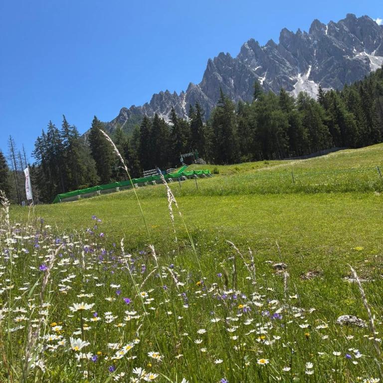 Appartamento con terrazza vista Pale di San Martino - Appartamento con Vista Montagna - 41