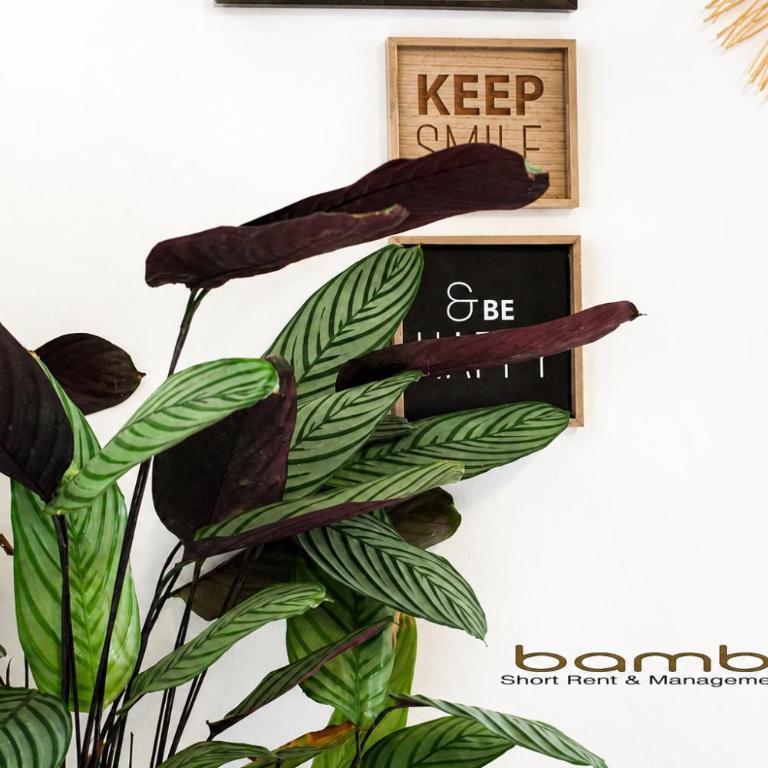 Bamboo Milano Copernico Central Station - Appartamento su 2 Livelli - 17