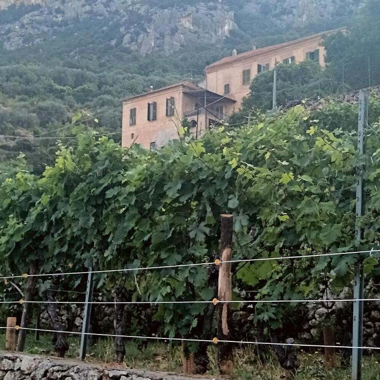 Superperti - appartamento 1 - Casa Vacanze - 3