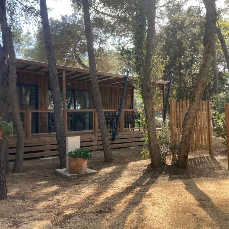 Camping Familial Buffalo Hacienda - Chalet - 3