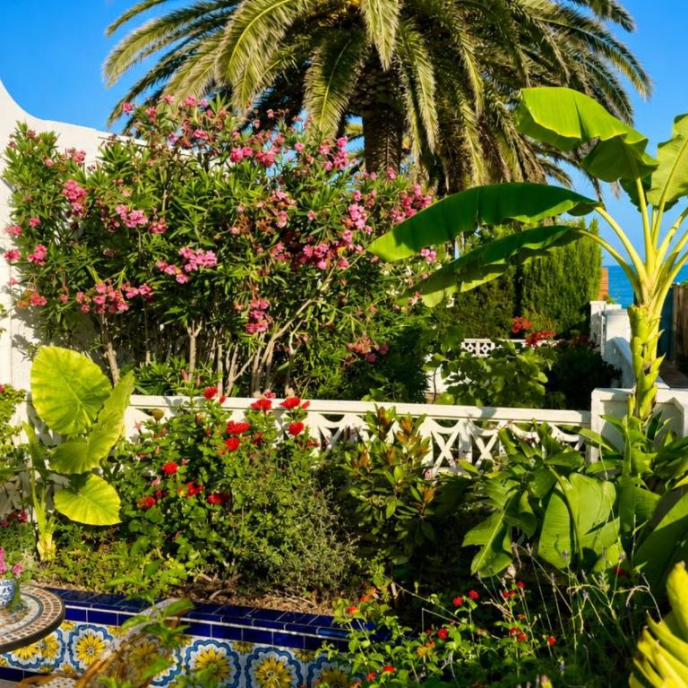 Casita del Toro - Rooftop Terrace & Sea View - Villa de 1 dormitorio - 27