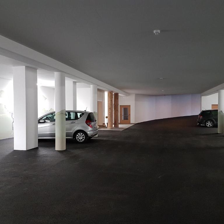 Alpenflair Moarlhof Kastelruth - Appartamento Superior con 1 Camera da Letto e Balcone - 24
