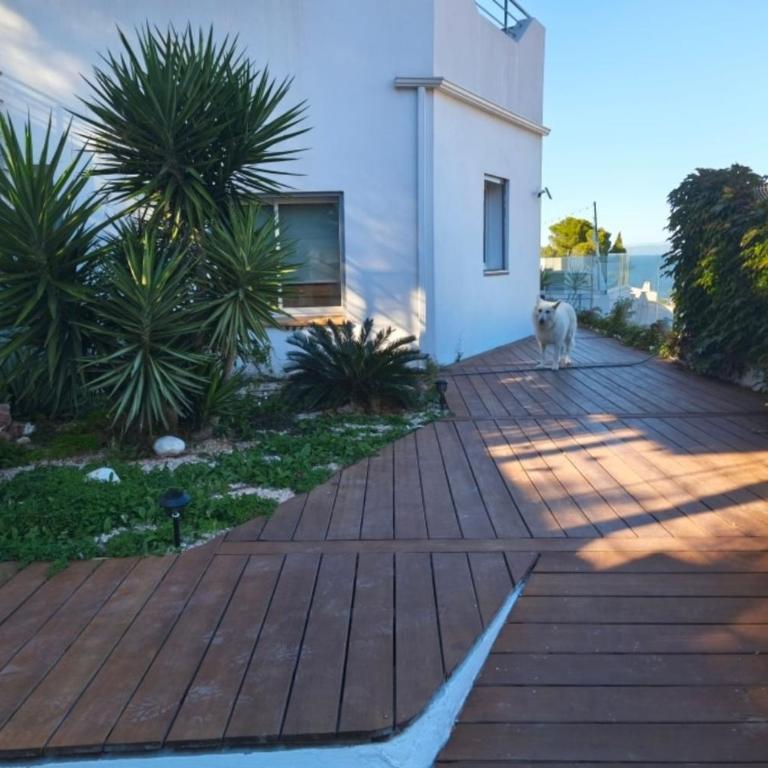 L'Arlette - Villa - 19