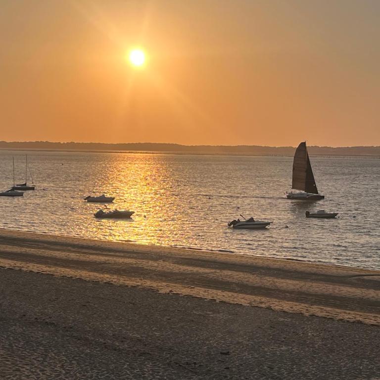 Première ligne accès privé et direct à la plage Vue mer - Apartment mit 3 Schlafzimmern - 3