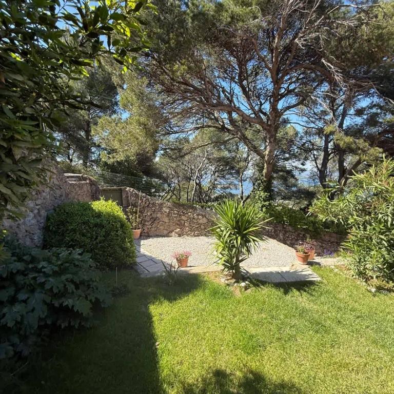 villa singuliere - Villa - 18