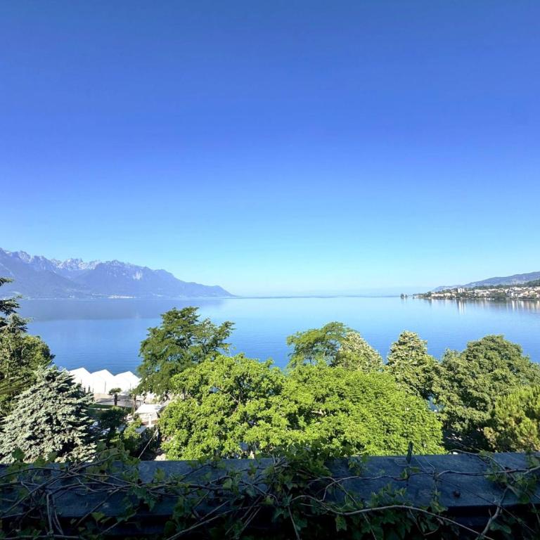 Evasion Lakefront in Montreux - Penthouse-Apartment - 12
