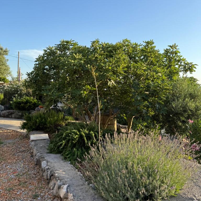 Mediterranean story - Kuća sa 3 Spavaće Sobe - 6