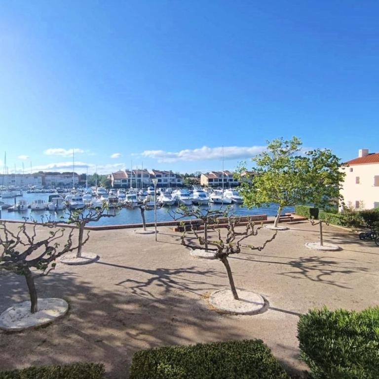 Charming 30 m apt marina view refurbished 2025 - Apartment - 3