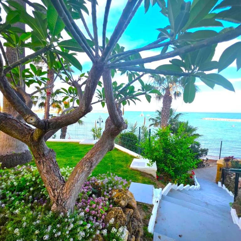 Apartamento en Benalmádena en la playa con piscina Frontal al mar - Apartment mit 2 Schlafzimmern - 4