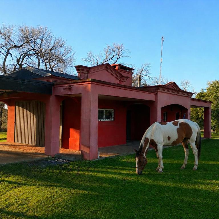 La Chacra - One-Bedroom Apartment - 1