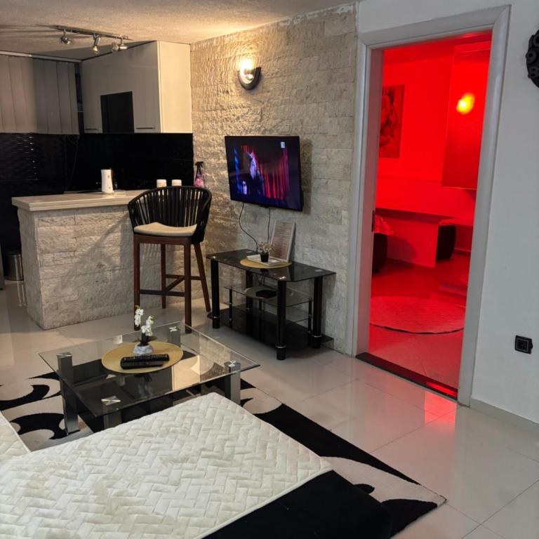 Apartments Bronze Podgorica - Deluks Apartman s 1 Spavaćom Sobom - 11