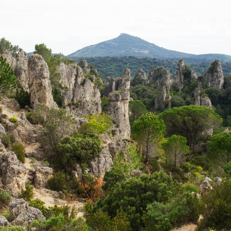 "Le Colombier"-Meublé de Tourisme 3 étoiles -Résidence "Les Logis de Béziers"-Garage optionnel-Cœur de ville-Plages à 16km ! - Appartamento - 51