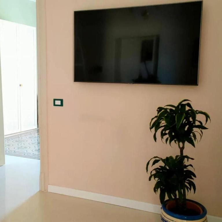 Palazzo zuppardo apartments - Appartamento Standard con 1 Camera da Letto - 2