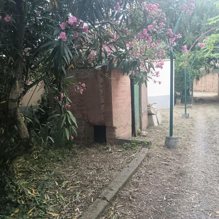 Superperti - appartamento 1 - Casa Vacanze - 14