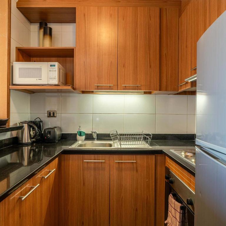HOM I 6PAX Edificio Valle Cóndores SKI OUT Valle Nevado - Apartamento - 35