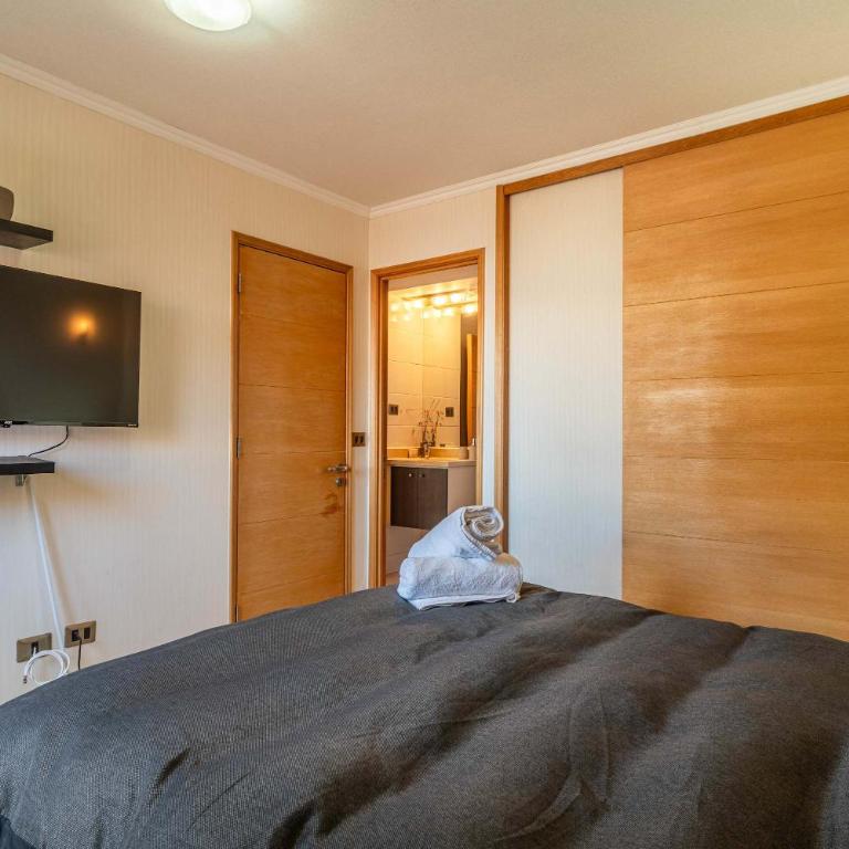 HOM I 6PAX Edificio Valle Cóndores SKI OUT Valle Nevado - Apartamento - 51