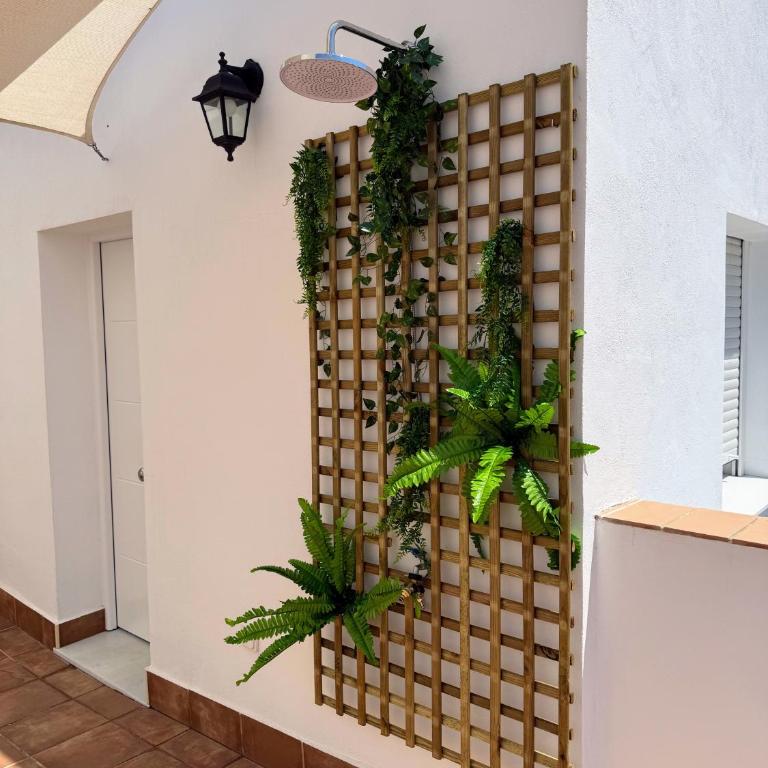 Superior guest house-Ideal PAREJAS - Haus mit 1 Schlafzimmer - 7