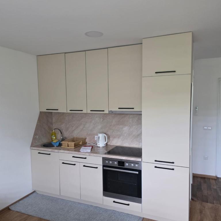 Apartmani gradina Tuzla - Appartement - 1