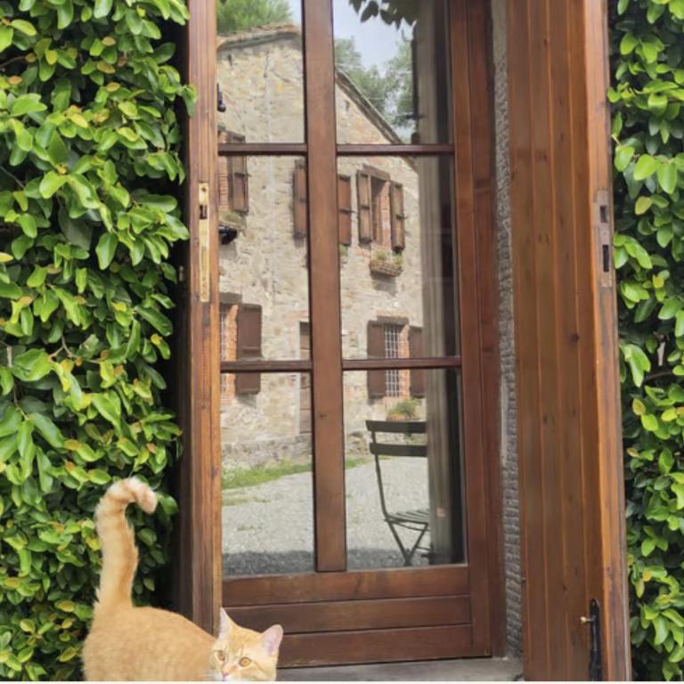 Ellera suite Country Barn in Lucca olive Grove - Suite with Garden View - 21