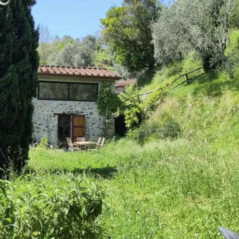 Ellera suite Country Barn in Lucca olive Grove - Suite with Garden View - 23