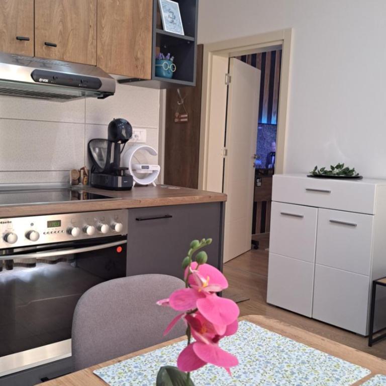 Apartman Brankovic - Apartman sa 1 Spavaćom Sobom - 1