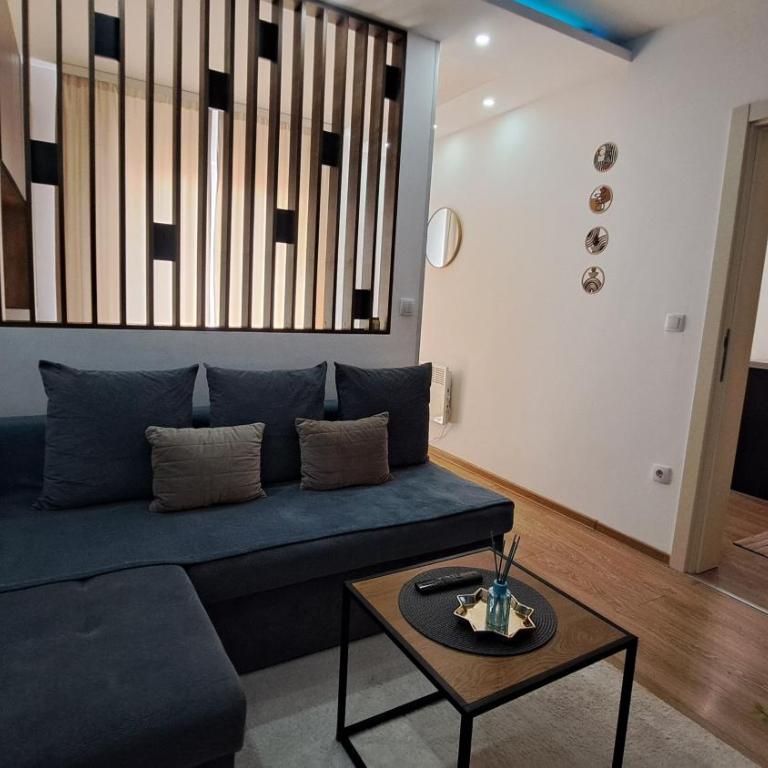 Apartman Brankovic - Apartman sa 1 Spavaćom Sobom - 4