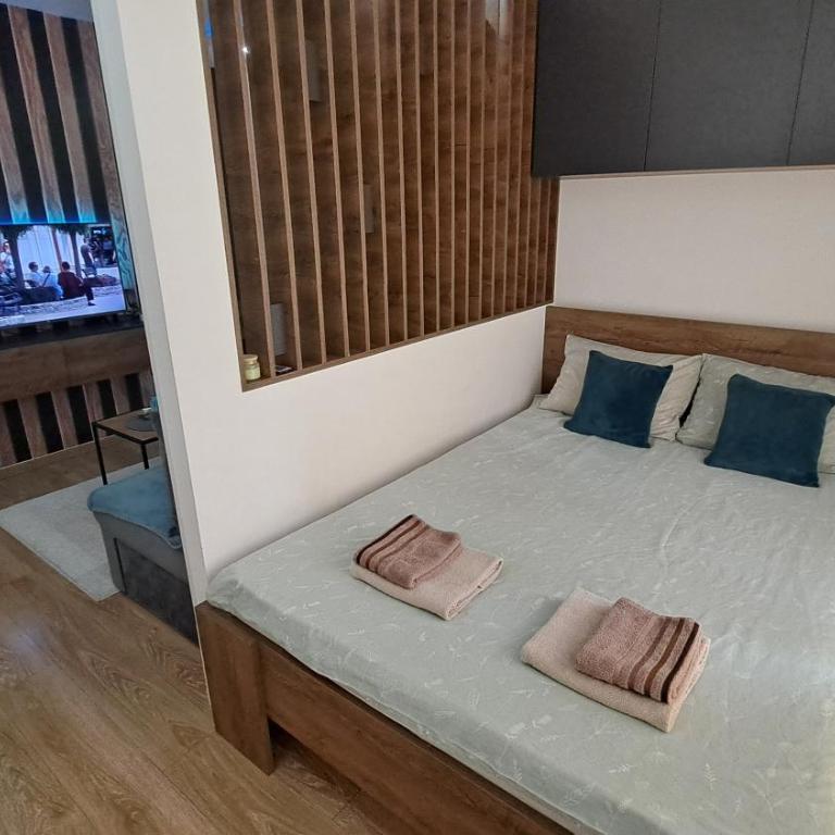 Apartman Brankovic - Apartman sa 1 Spavaćom Sobom - 3
