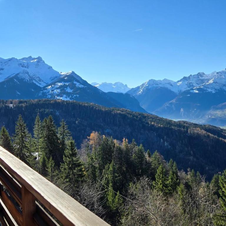 Cosy Alpine Suite with Magnificent Views - Apartment mit Blick auf die Berge - 9