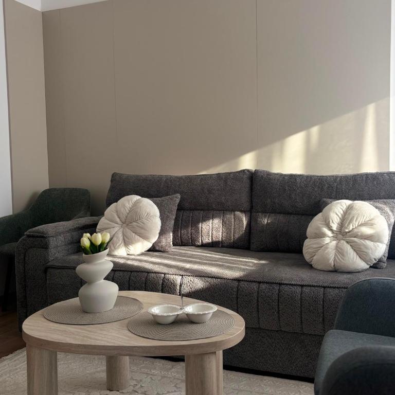 Apartman Tea Banja Koviljaca - Apartman sa 1 Spavaćom Sobom - 5