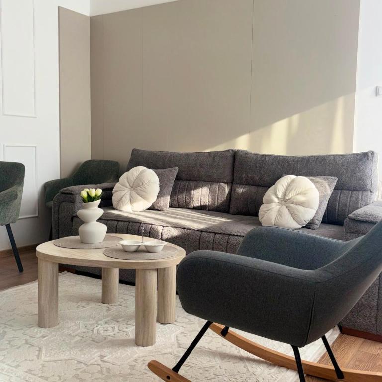Apartman Tea Banja Koviljaca - Apartman sa 1 Spavaćom Sobom - 1