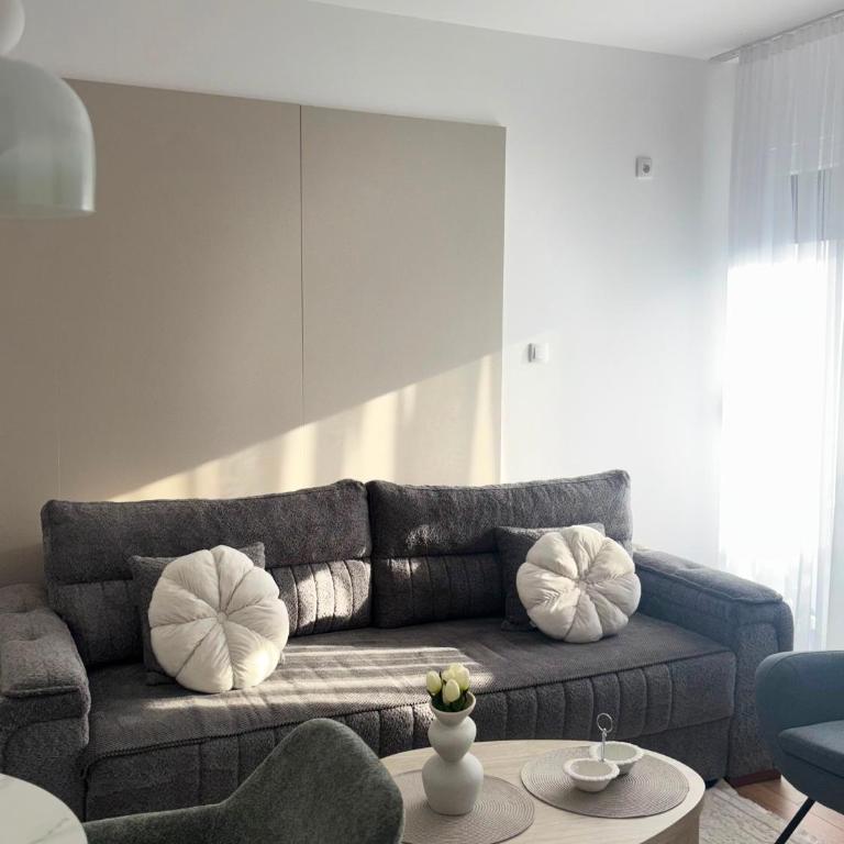 Apartman Tea Banja Koviljaca - Apartman sa 1 Spavaćom Sobom - 3